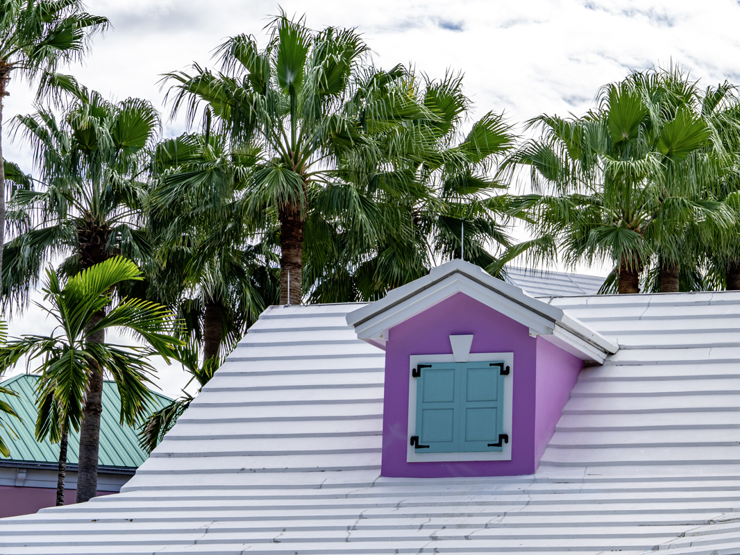 Rhone-Services-contact-bahamas